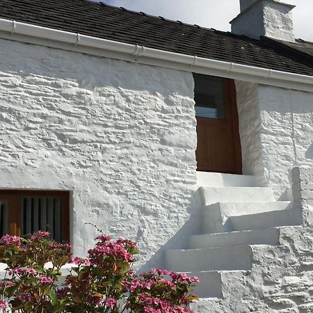 Little Barn Cottage 纽波特 外观 照片